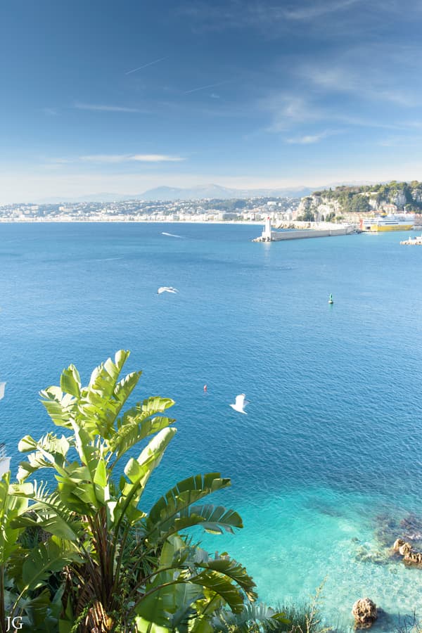 Image d'illustration pour Tropicalisation du climat à Nice - un marqueur du Réchauffement Climatique