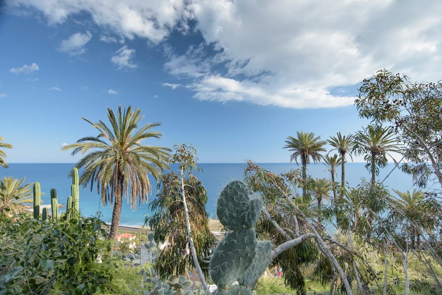 Image d'illustration pour Tropicalisation du climat à Nice - un marqueur du Réchauffement Climatique