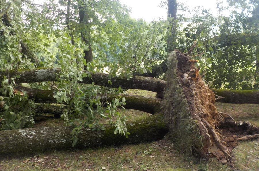 Image d'illustration pour Violents orages en Rhône-Alpes : foudre, grêle, vent et inondations
