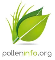 Image d'illustration pour Après le bouleau, les pollens de graminées provoquent des allergies