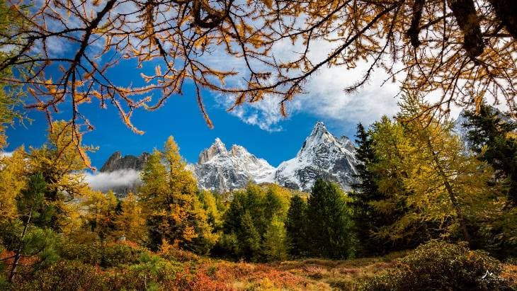Image d'illustration pour Les dernières couleurs d'automne avant les paysages d'hiver