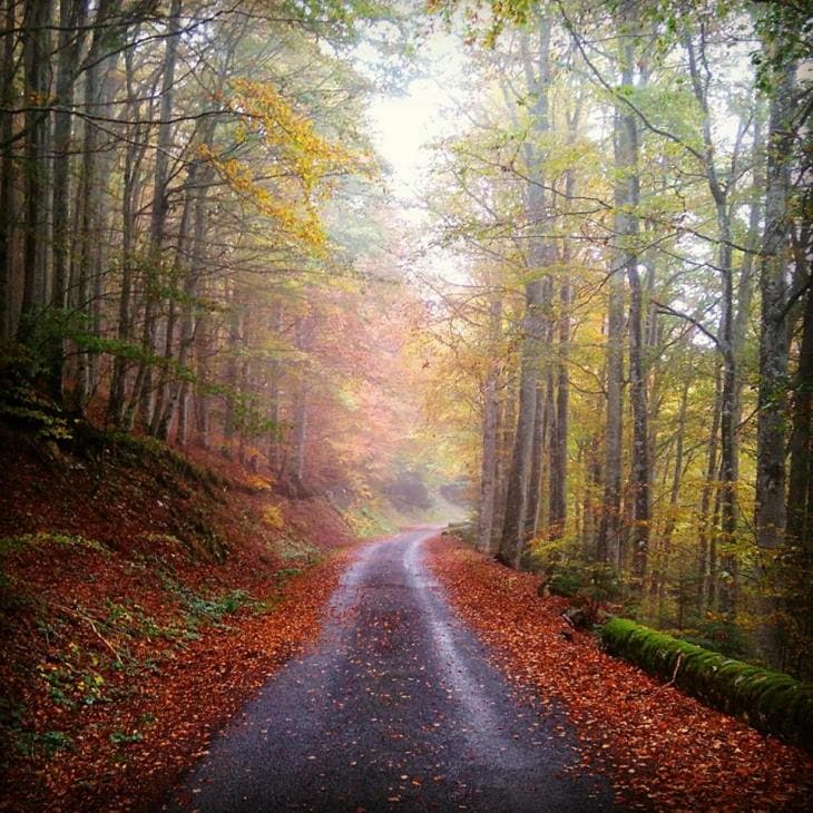 Image d'illustration pour Les dernières couleurs d'automne avant les paysages d'hiver