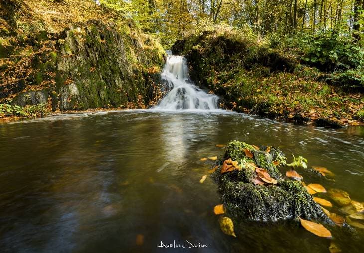 Image d'illustration pour Les dernières couleurs d'automne avant les paysages d'hiver