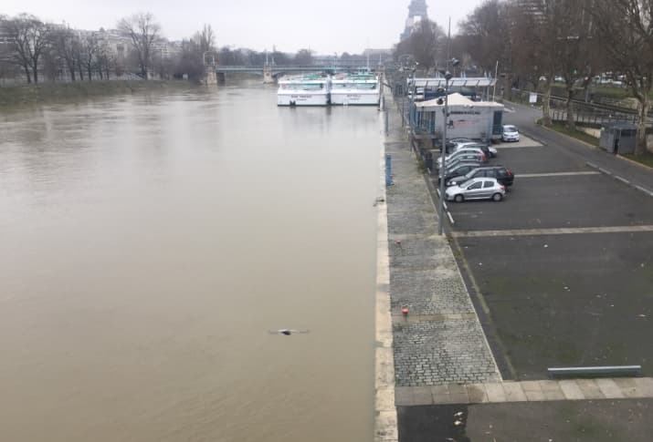 Image d'illustration pour Crue de la Seine et de la Saône