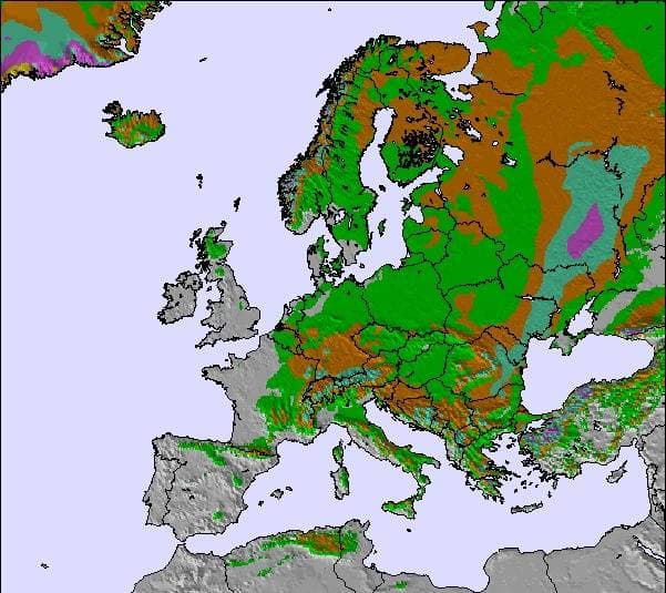 Image d'illustration pour Neige et froid de l'Europe Centrale au Maghreb
