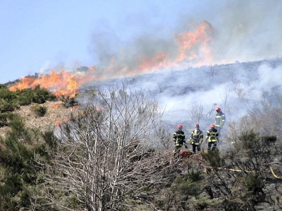 Image d'illustration pour Quelques incendies de forêt sous l'effet du soleil et de la chaleur
