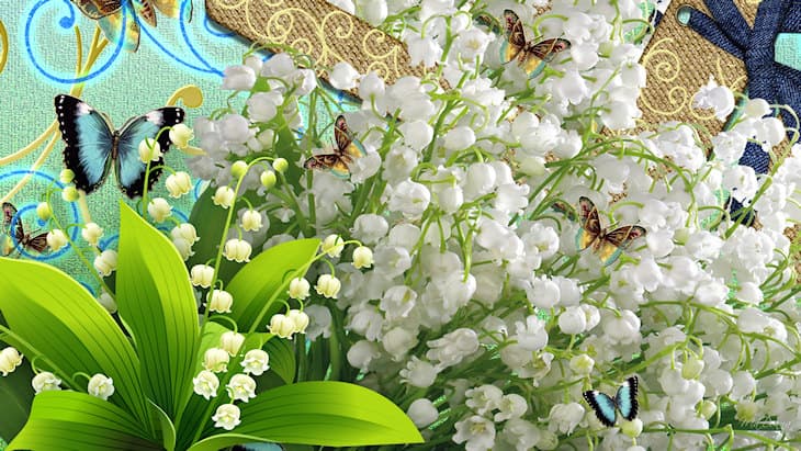 Image d'illustration pour Le muguet au rendez-vous du 1er mai
