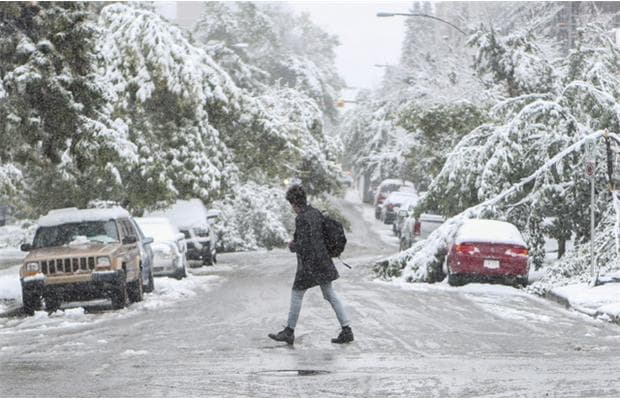 Image d'illustration pour Neige précoce à Calgary (Alberta - Canada)