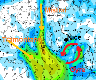 Image d'illustration pour Tropicalisation du climat à Nice - un marqueur du Réchauffement Climatique