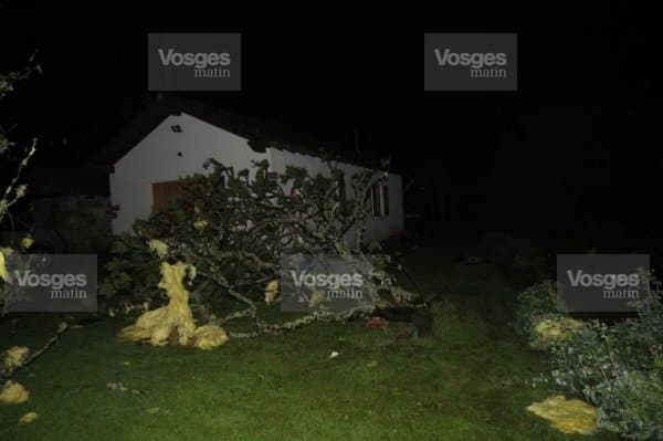 Image d'illustration pour Quatre tornades dans les Vosges et en Allemagne
