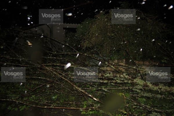 Image d'illustration pour Quatre tornades dans les Vosges et en Allemagne