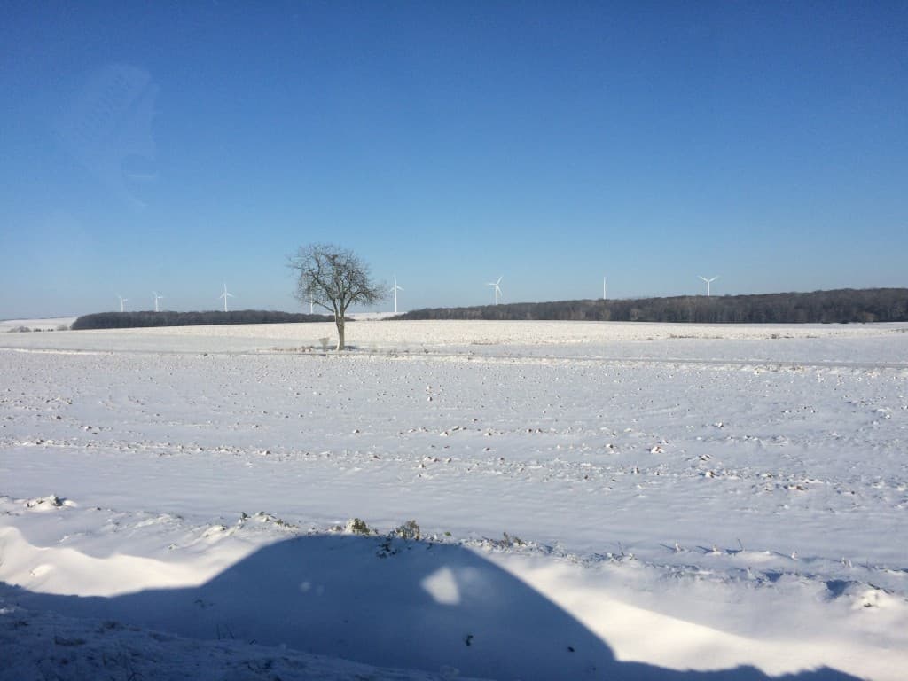 Image d'illustration pour Bilan de l'épisode de froid et de neige fin 2014 et début 2015