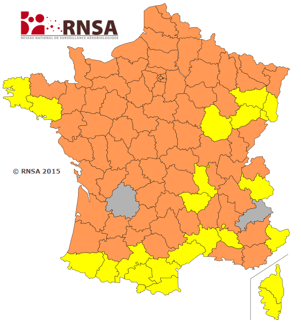 Image d'illustration pour Pollens : répit relatif pour les allergiques
