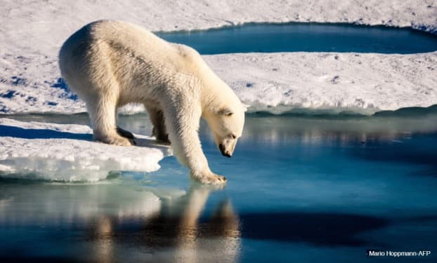 Image d'illustration pour COP 23 à Bonn - Revue de presse des changements climatiques