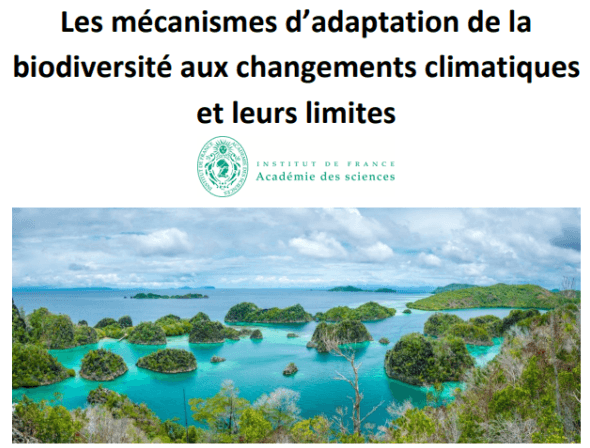 Image d'illustration pour COP 23 à Bonn - Revue de presse des changements climatiques