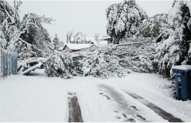 Image d'illustration pour Neige précoce à Calgary (Alberta - Canada)